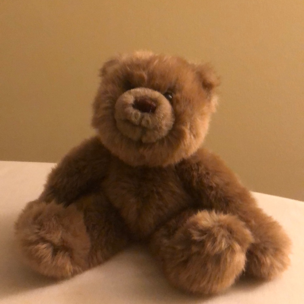 Like-New Gund plush teddy bear